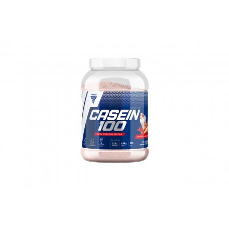 CASEIN 100  600г